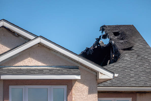 Top rated local Fire Damage Removal specialists in Hutto, TX